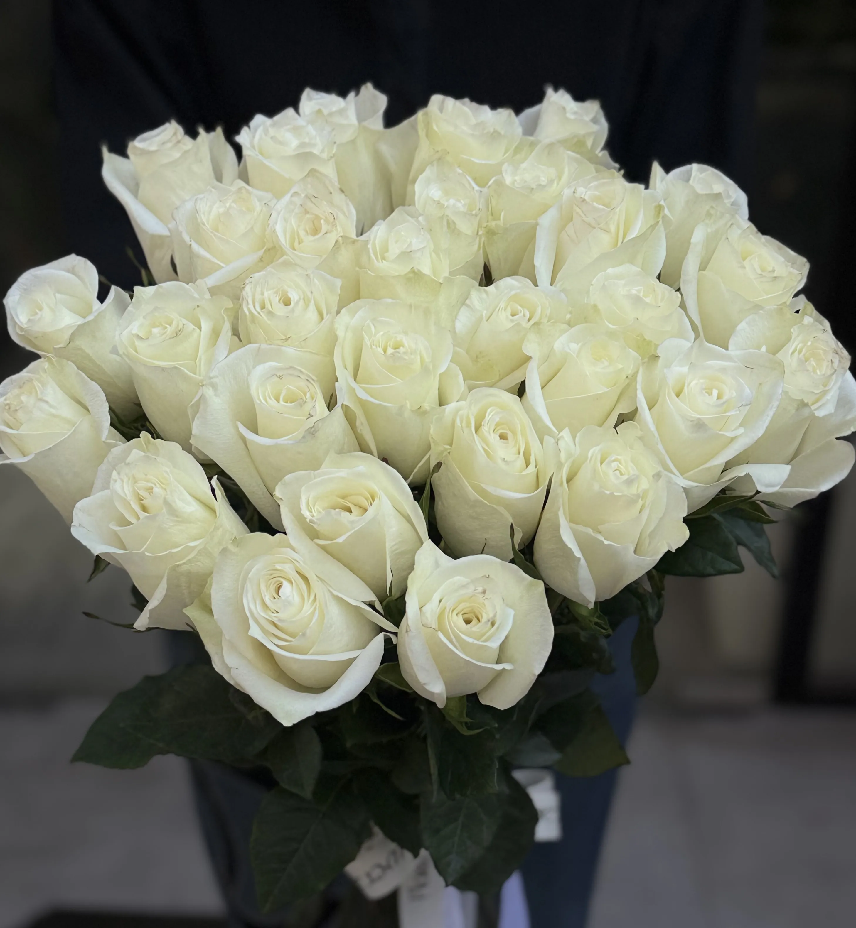 31 Beyaz Ekvador Qızılgül