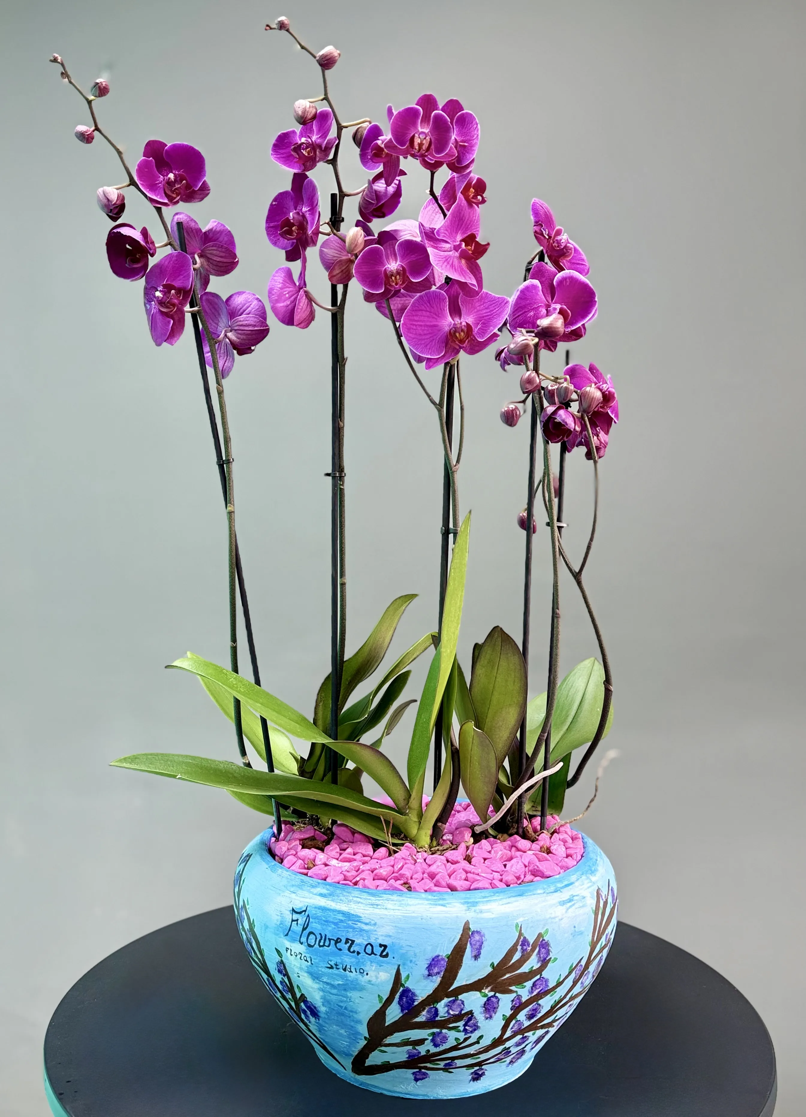  Əl İşi Dipçəkdə Orxideya