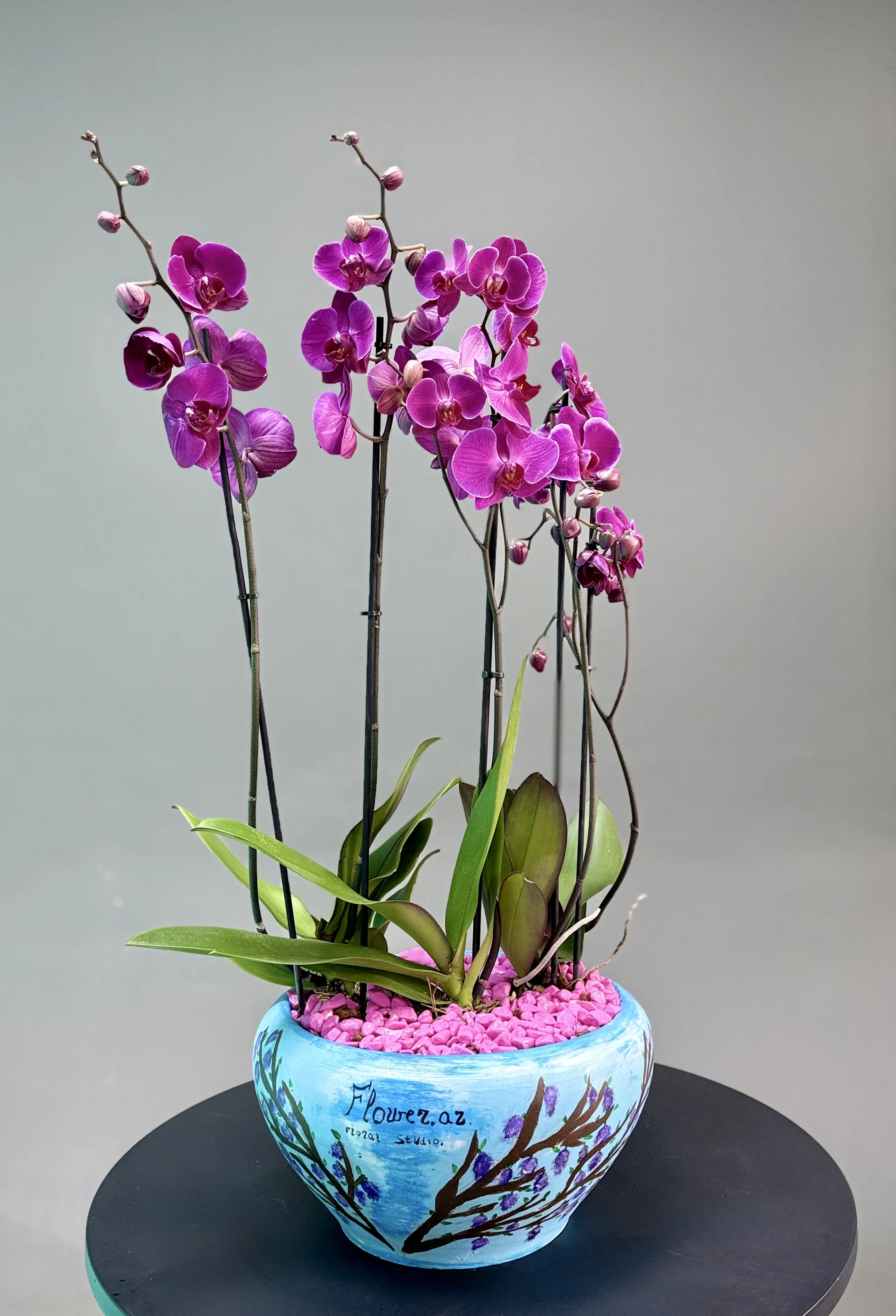  Əl İşi Dipçəkdə Orxideya