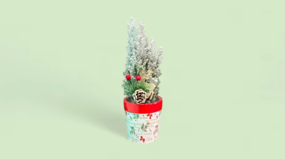 Yeni İl Mini Şam Kompozisiyası — Qış Ab-havası Dekoru