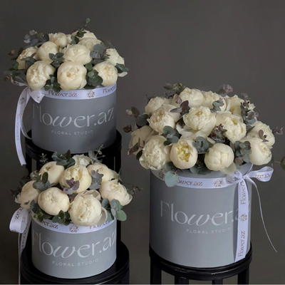 Qutu kompozisiyaları