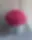 Pink Royal Garden – Premium Kompozisiya
