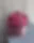 Pink Peony Rose – Premium Kompozisiya