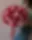 Ruby Premium Buket