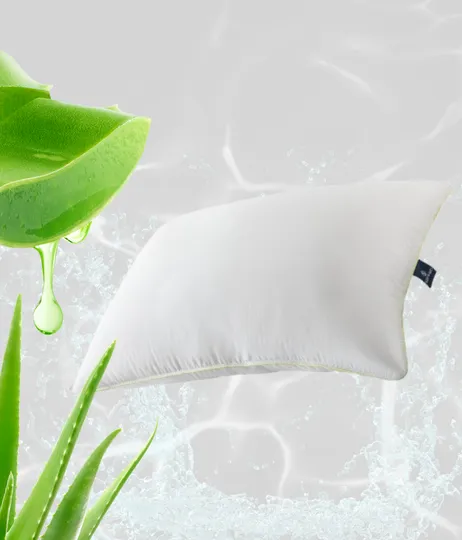 Aloevera Párna