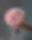 Pink Pearl