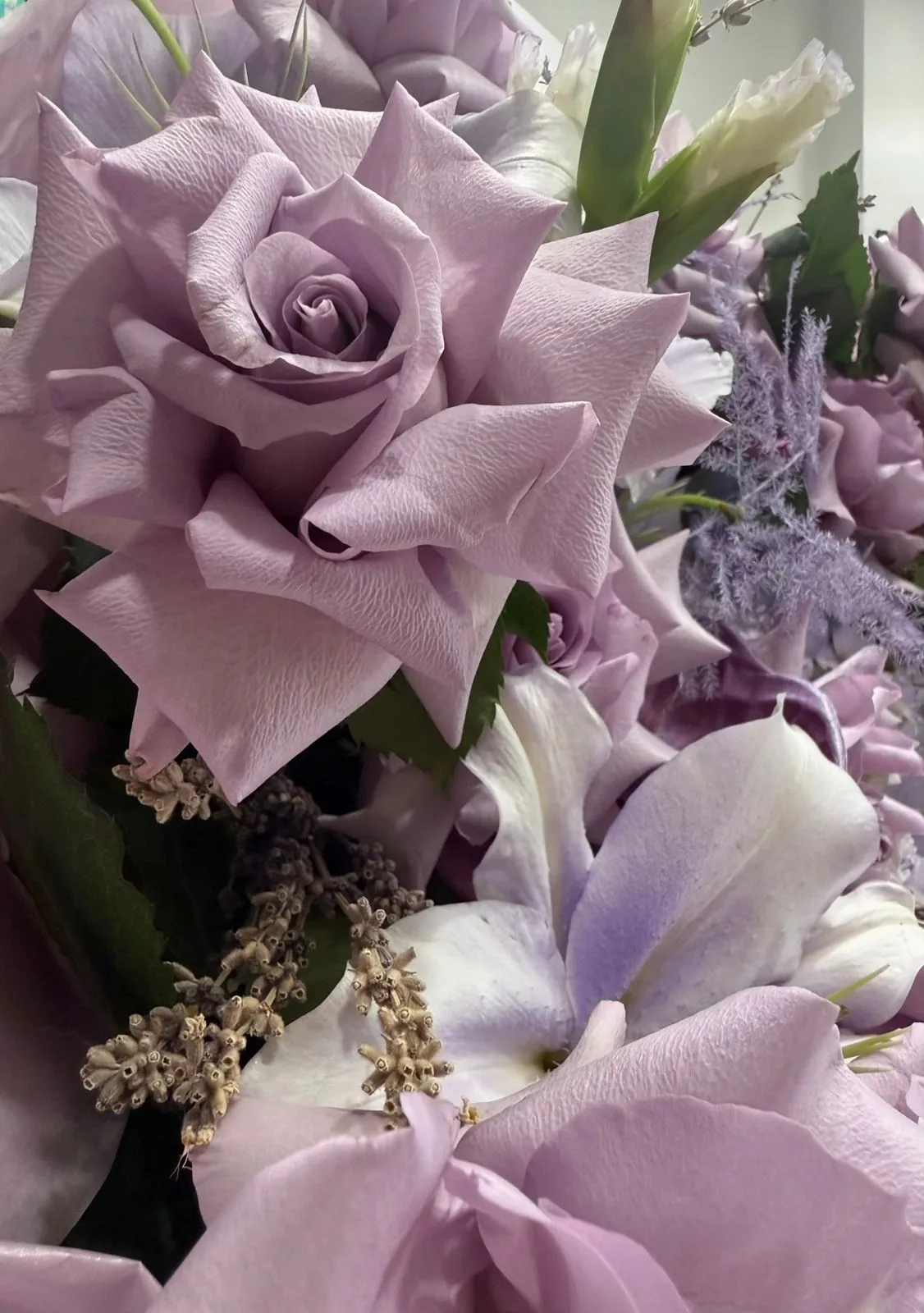 Lavanda Dəbdəbəsi 